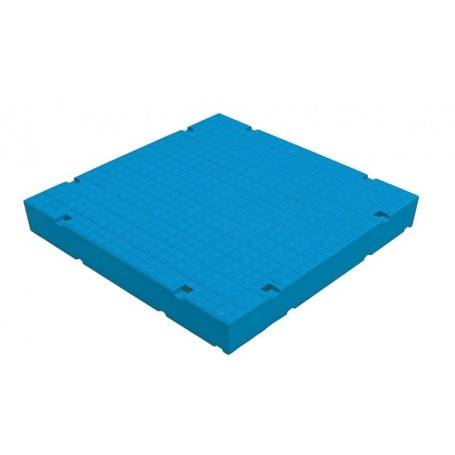 Dalle Garochut 250 x250