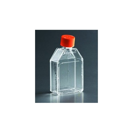 Primaire d'accrochage produits en SEBS