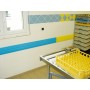 Lisse murale anglisol - illustration